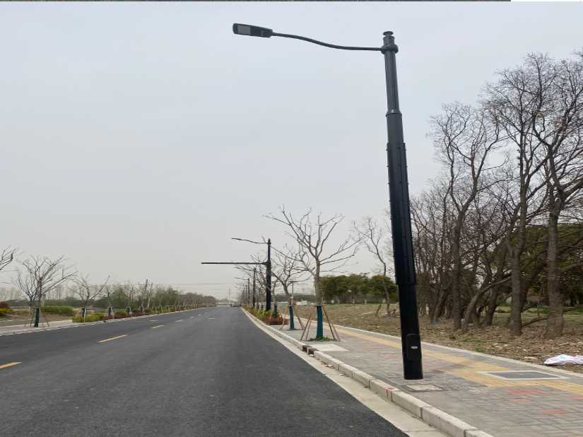 天全县上海综合杆 太阳能路灯工程